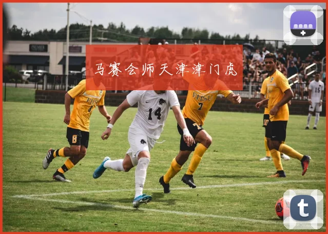 马赛会师天津津门虎