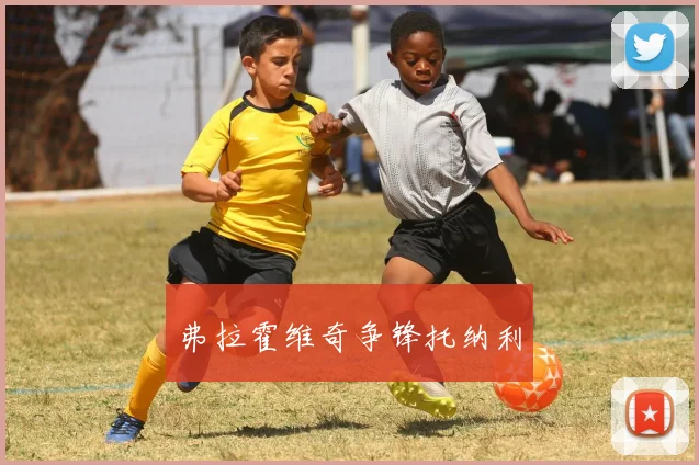 弗拉霍维奇争锋托纳利