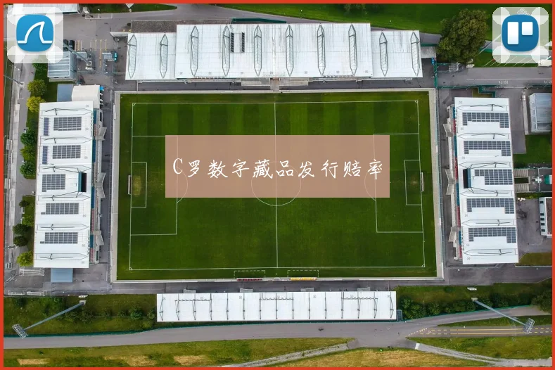 C罗数字藏品发行赔率