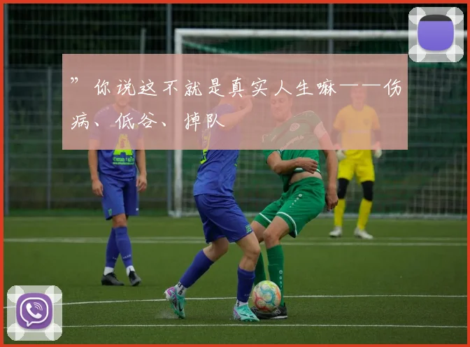 ”你说这不就是真实人生嘛——伤病、低谷、掉队