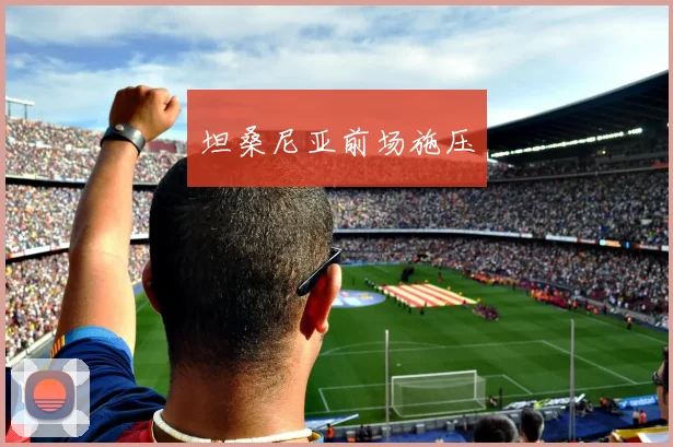 坦桑尼亚前场施压