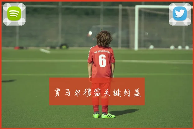 贾马尔穆雷关键封盖