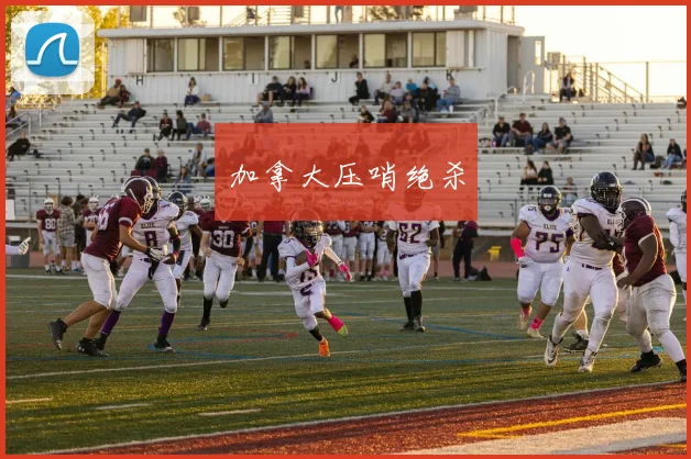 加拿大压哨绝杀