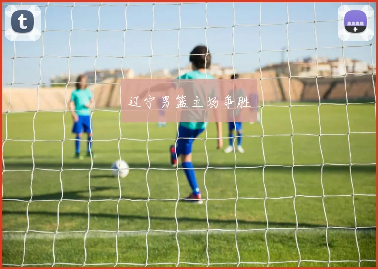 辽宁男篮主场争胜