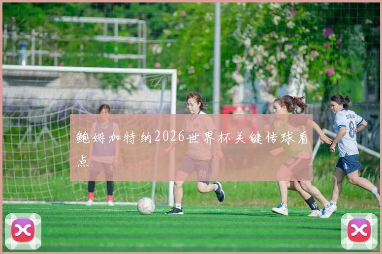 鲍姆加特纳2026世界杯关键传球看点