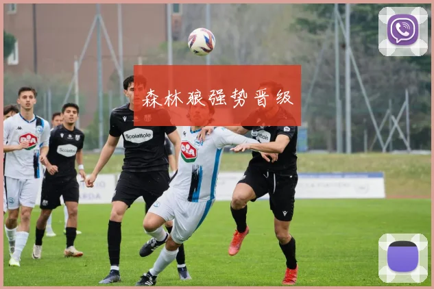 森林狼强势晋级