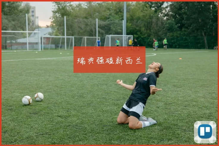 瑞典强碰新西兰