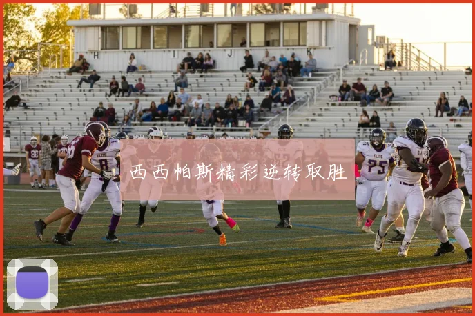 西西帕斯精彩逆转取胜