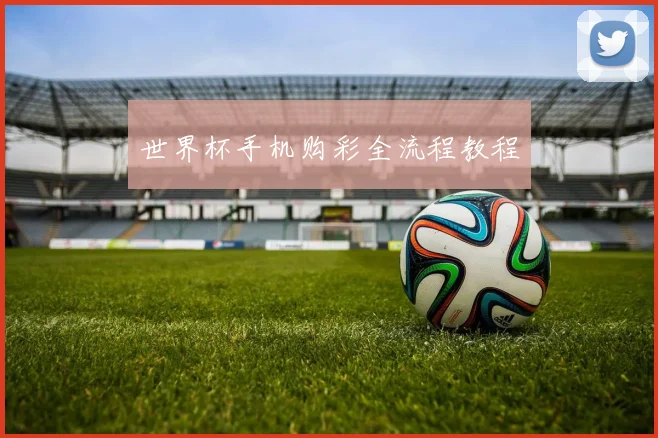 世界杯手机购彩全流程教程