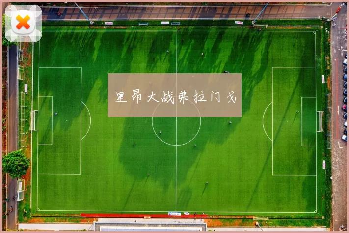 里昂大战弗拉门戈