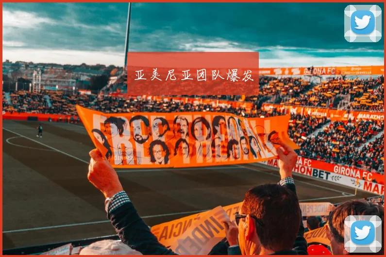 亚美尼亚团队爆发