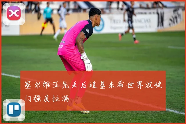 塞尔维亚先丢后追基米希世界波破门强度拉满