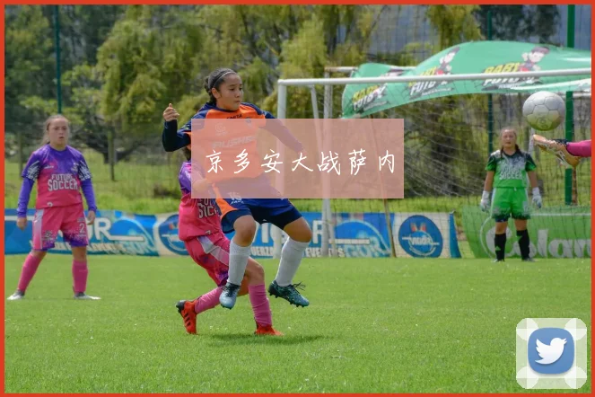 京多安大战萨内