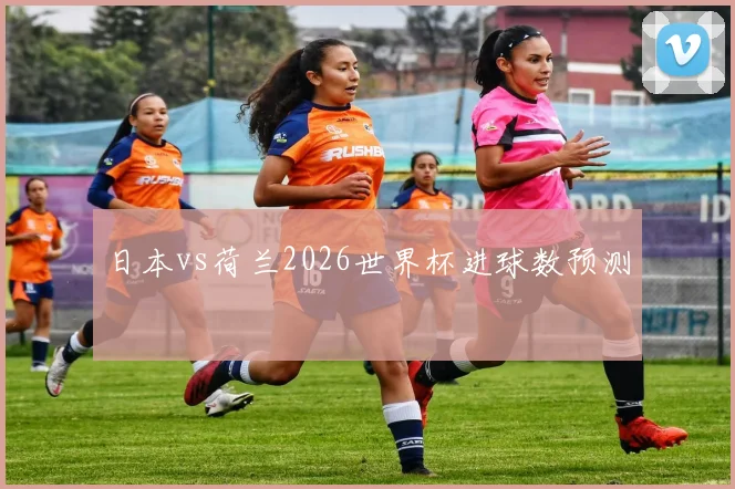 日本vs荷兰2026世界杯进球数预测