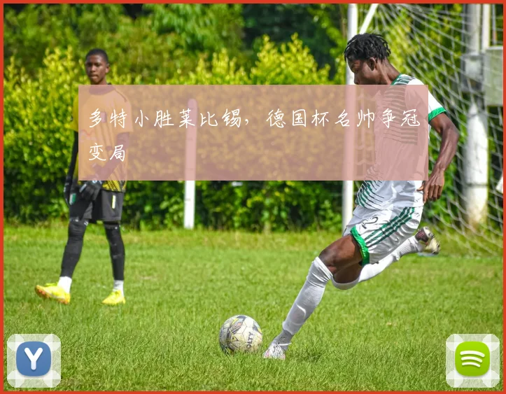 多特小胜莱比锡，德国杯名帅争冠变局