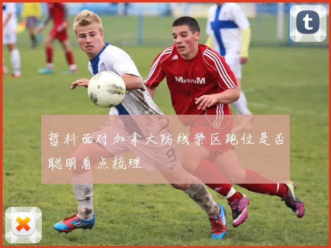 哲科面对加拿大防线禁区跑位是否聪明看点梳理