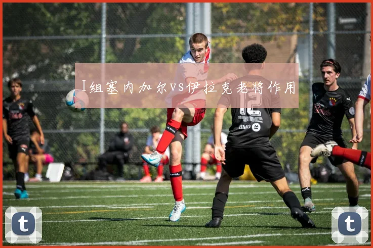I组塞内加尔vs伊拉克老将作用