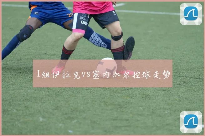 I组伊拉克vs塞内加尔控球走势