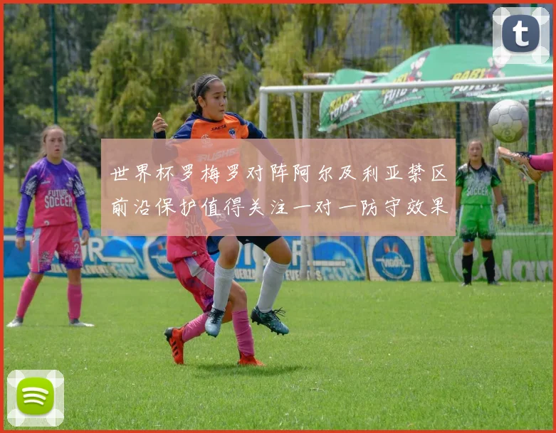 世界杯罗梅罗对阵阿尔及利亚禁区前沿保护值得关注一对一防守效果