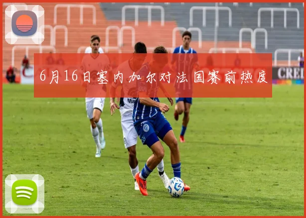 6月16日塞内加尔对法国赛前热度
